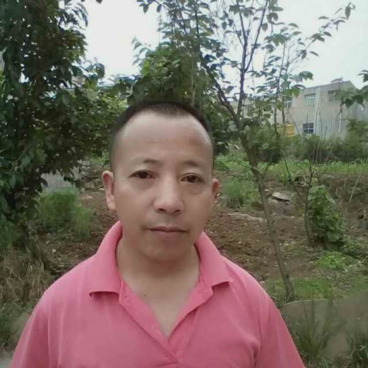 难过等于豌豆的照片