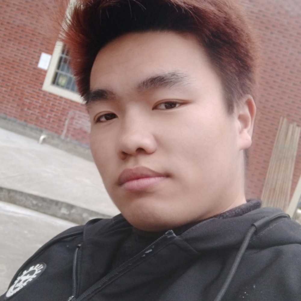大象停止缥缈的照片