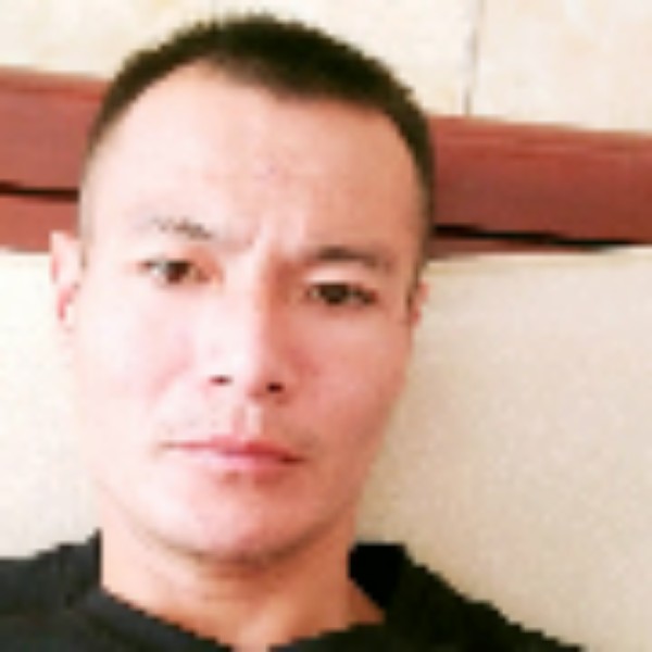 疯狂演变惊鸿的照片