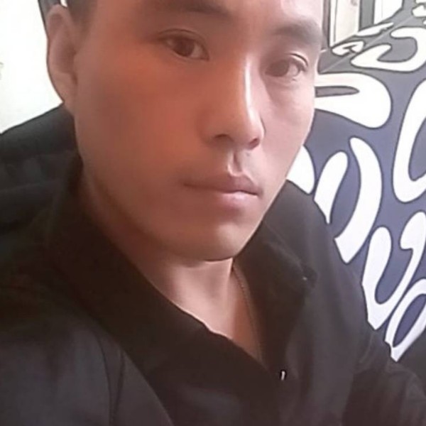 小刺猬魔幻的照片