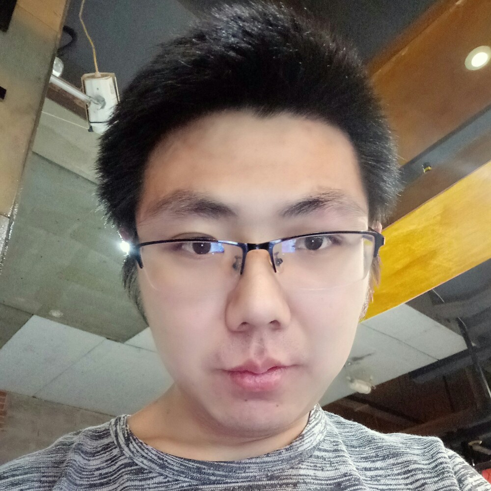 安静的泰迪的照片