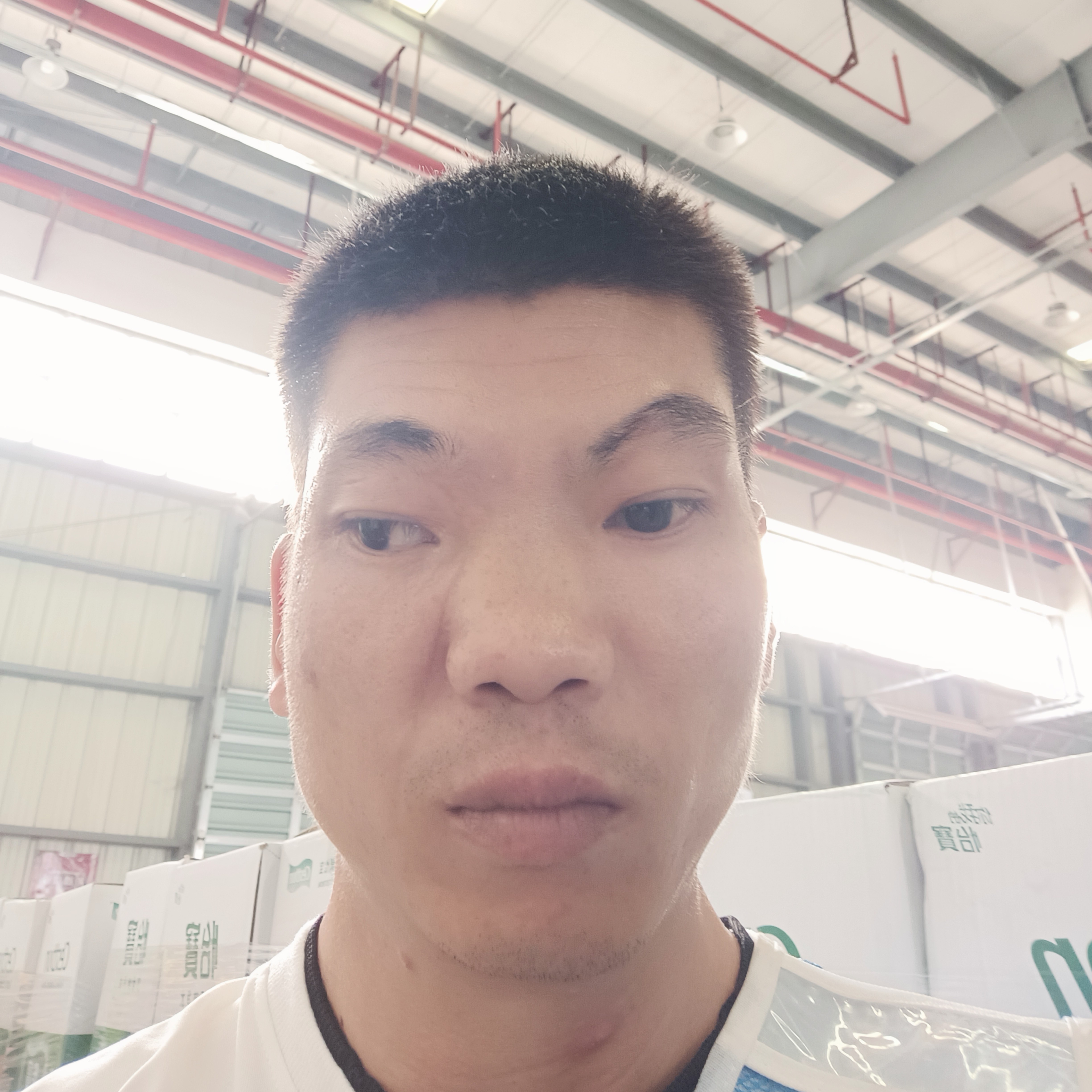 南鸢漫步老迟到的照片