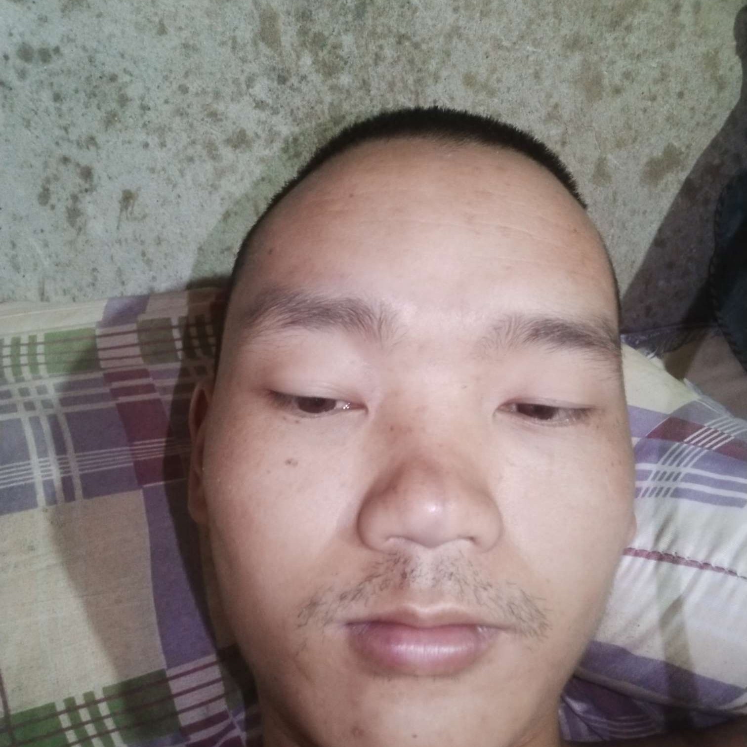 洁净倾心小甜瓜的照片
