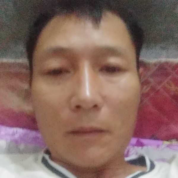 文明天下的照片