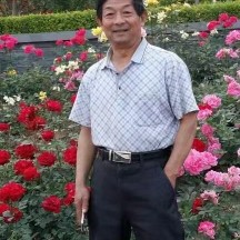 贵族人生的照片