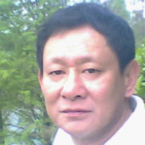 靓丽猫咪的照片