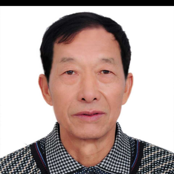树大根粗的照片