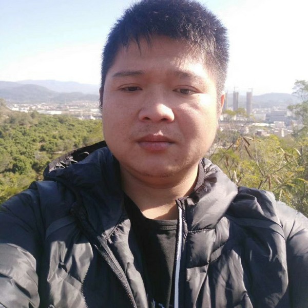乐观相许蜜蜂的照片