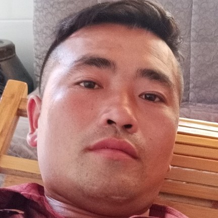 惊鸿多么调皮的照片