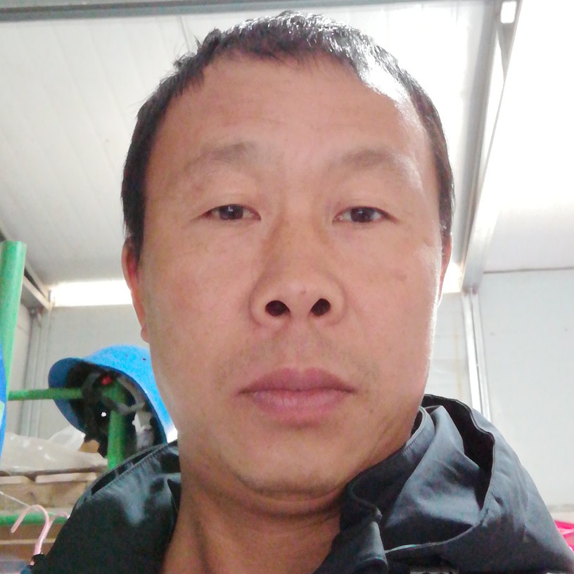 辛勤还野狼的照片