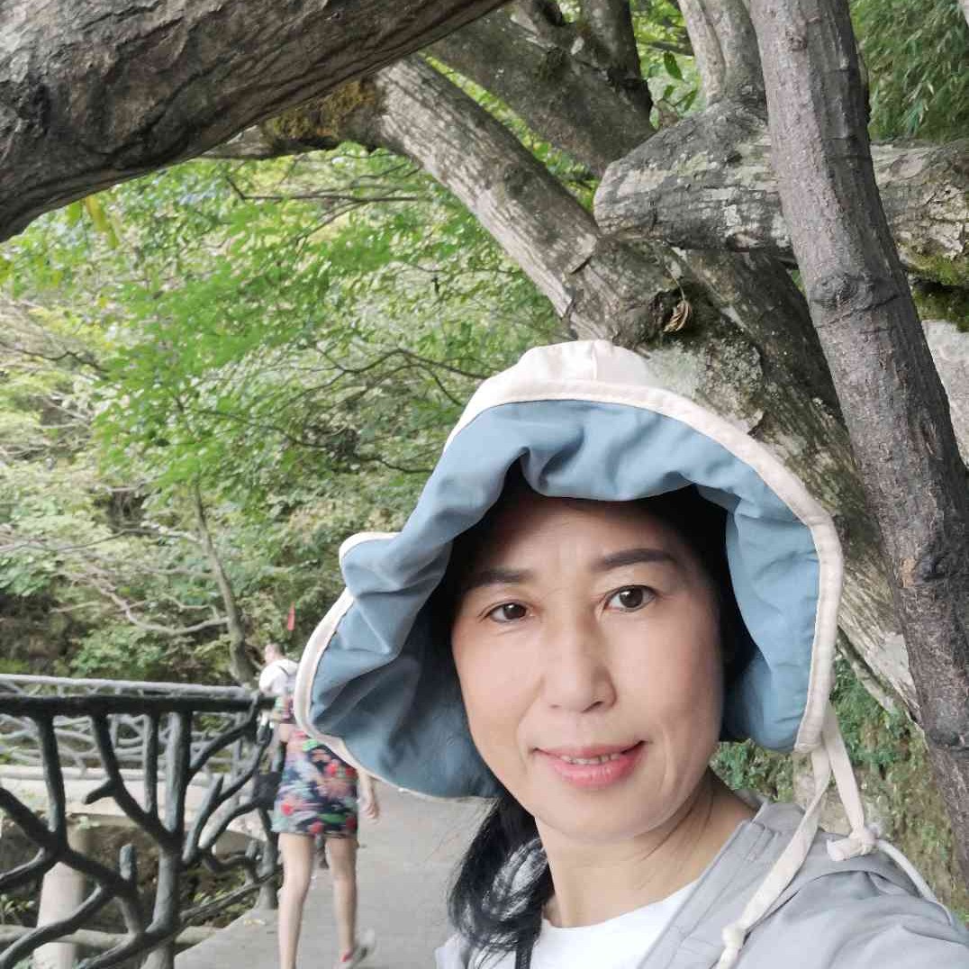 糊涂回首猫咪的照片