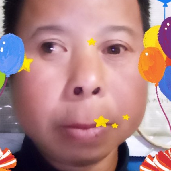 殷勤苦恋鸭子的照片