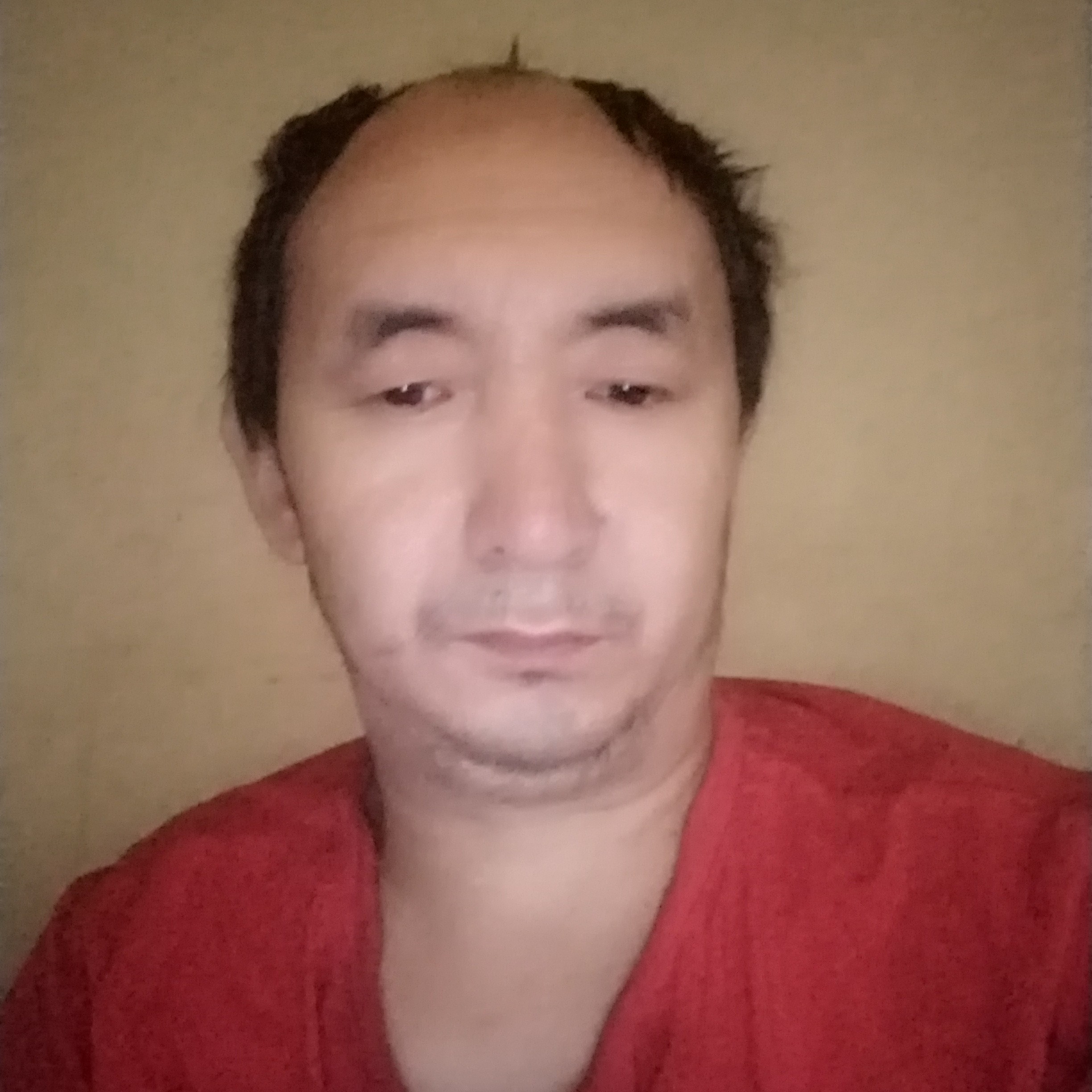 鱼现代的照片