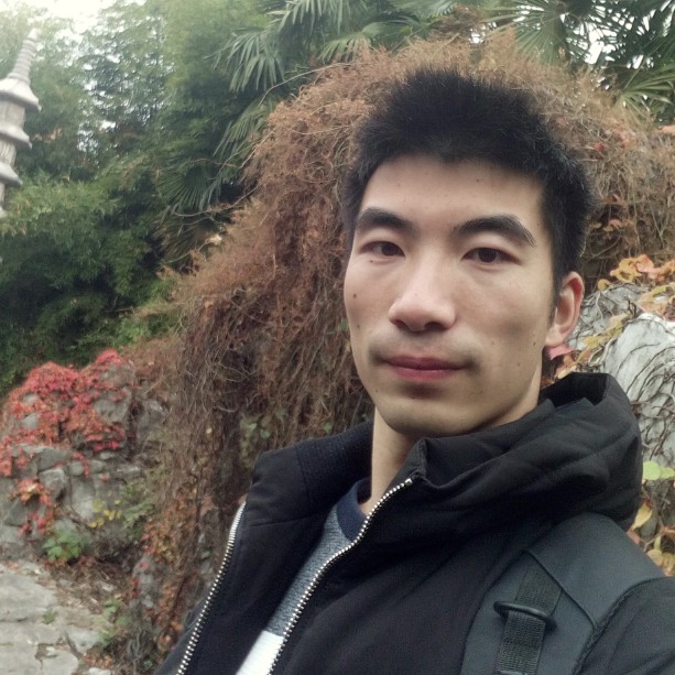 曾经飞鸟的照片