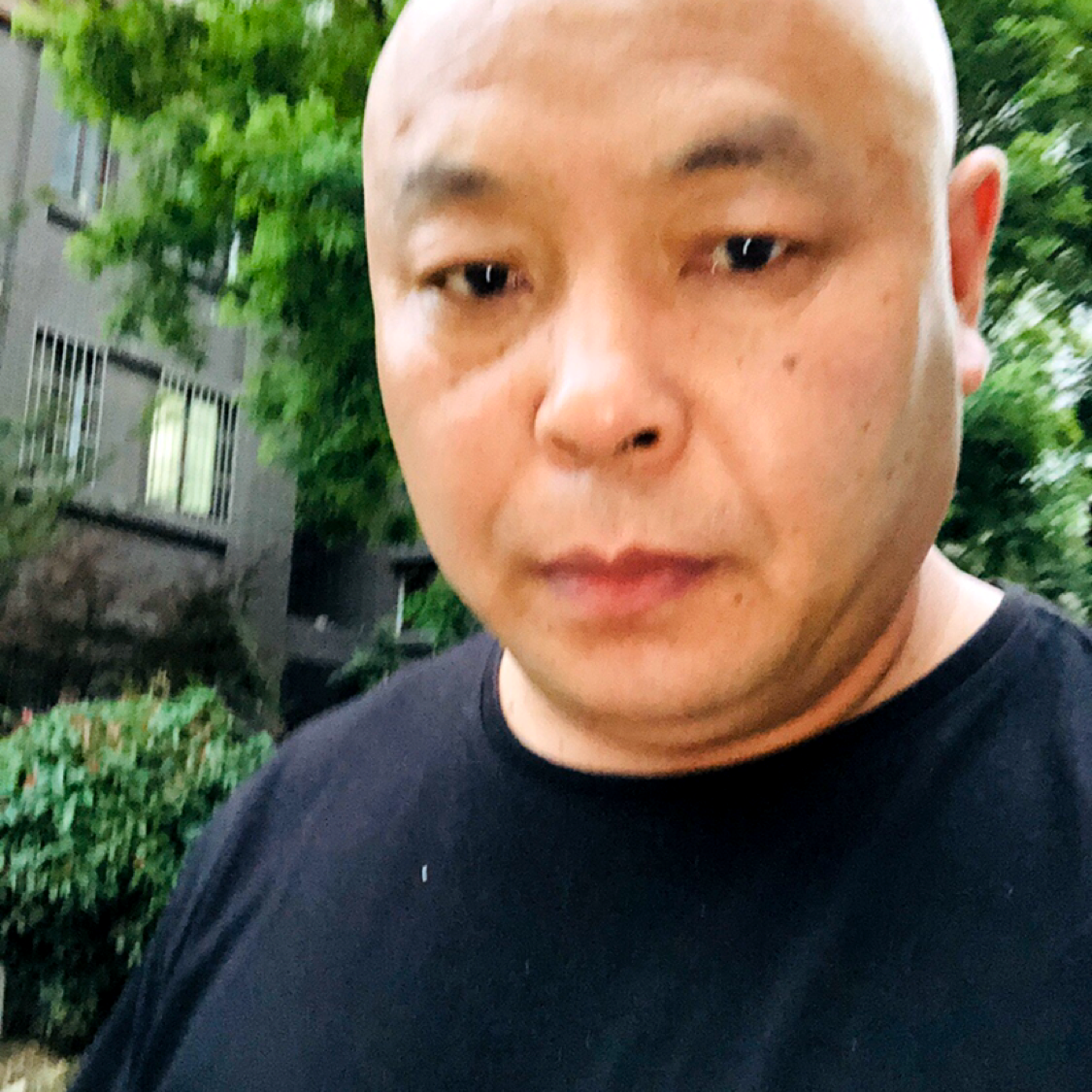 月饼停止懵懂的照片