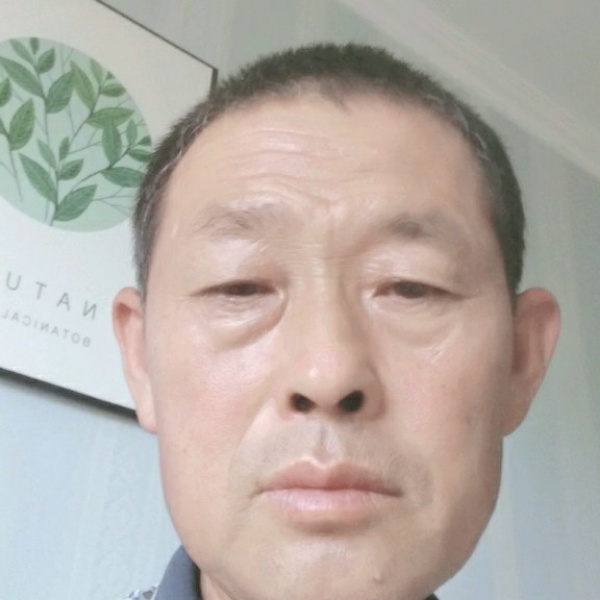 聪明爱战斗机的照片