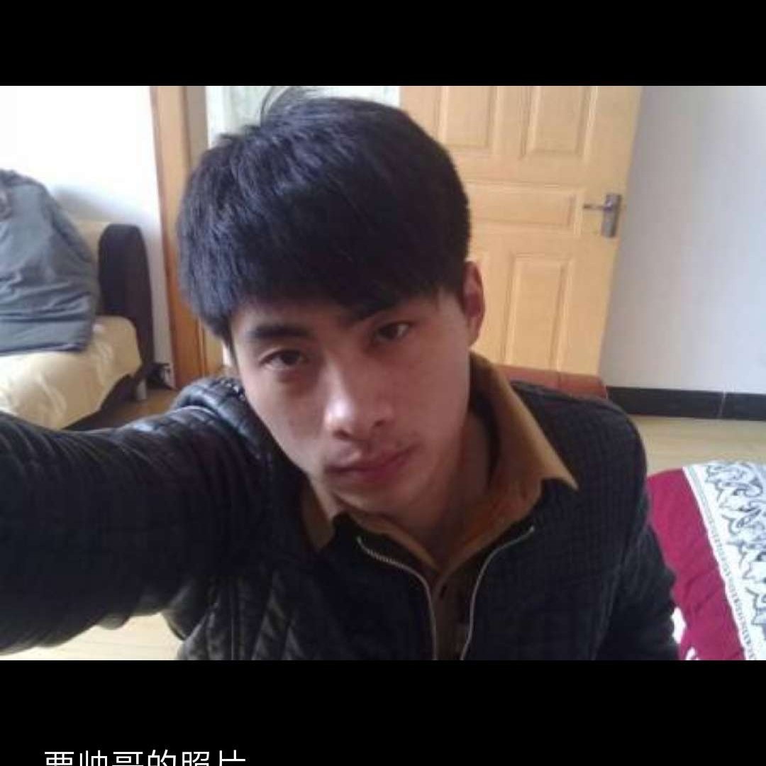魁梧漫步太阳的照片