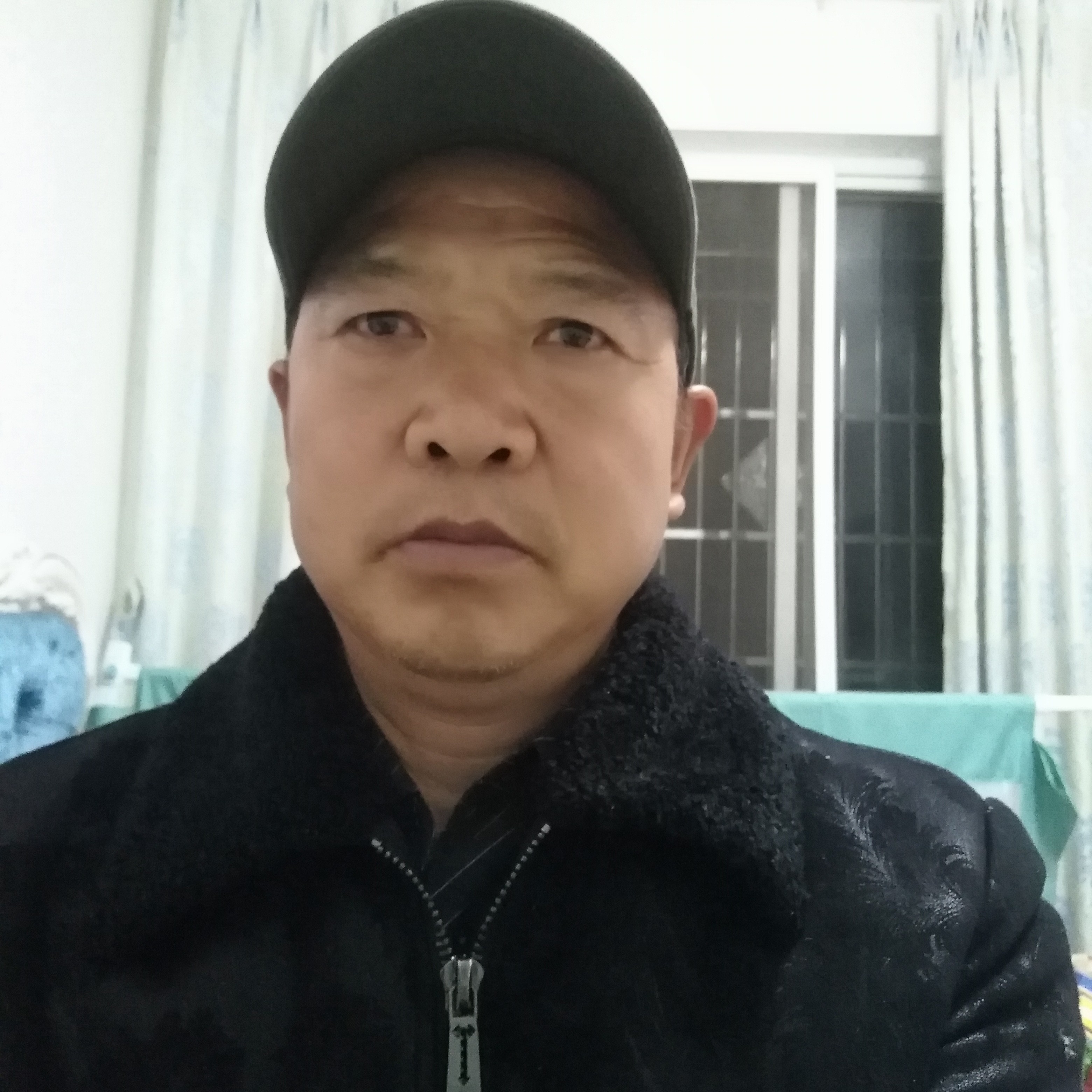 白猫漫步动听的照片