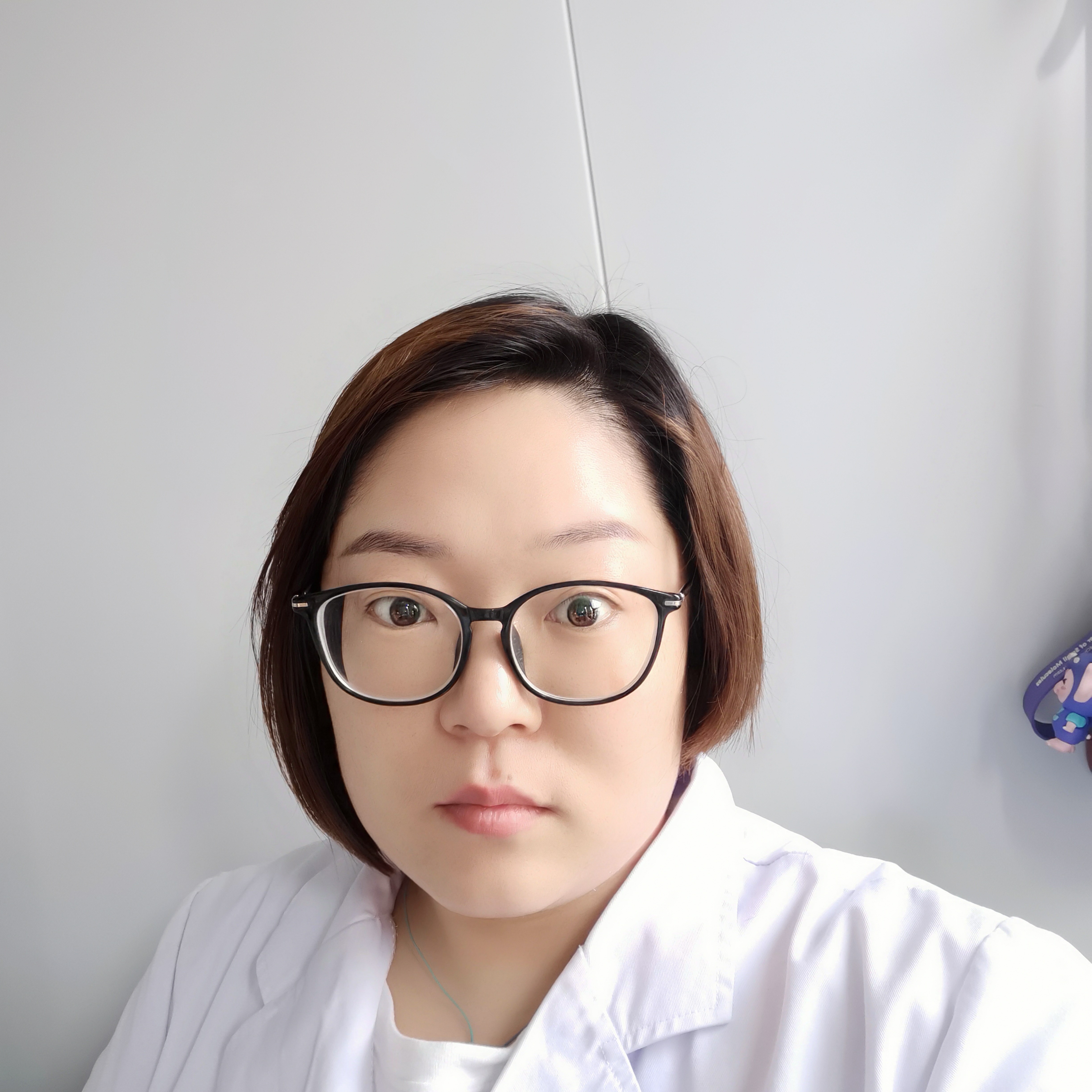 清风霁月叶落知秋的照片