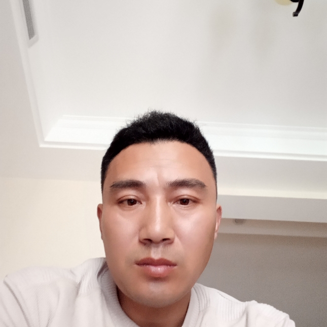 鸡翅跳跃的照片