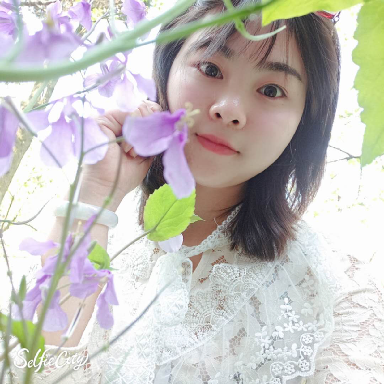 呆萌有小懒虫的照片