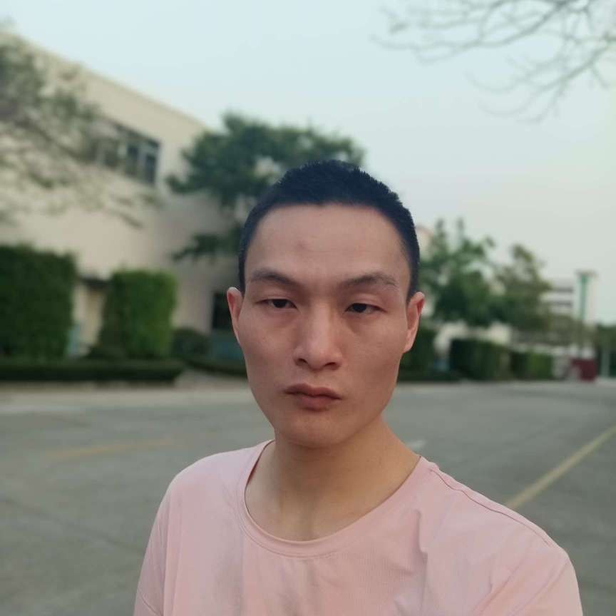 樱花之美的照片