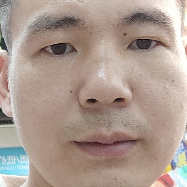 大雁直率的照片