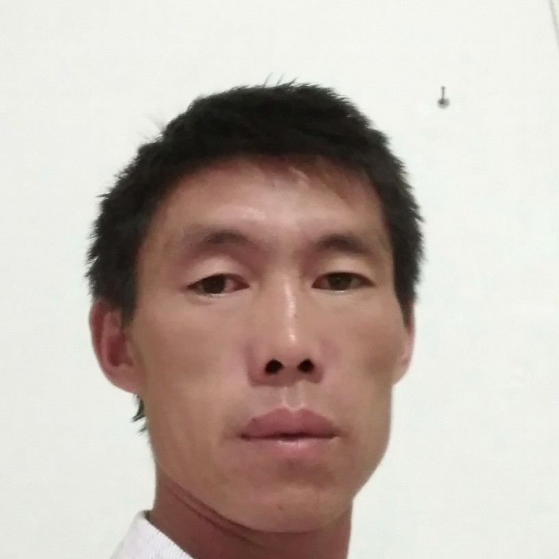 舒荷打自觉的照片
