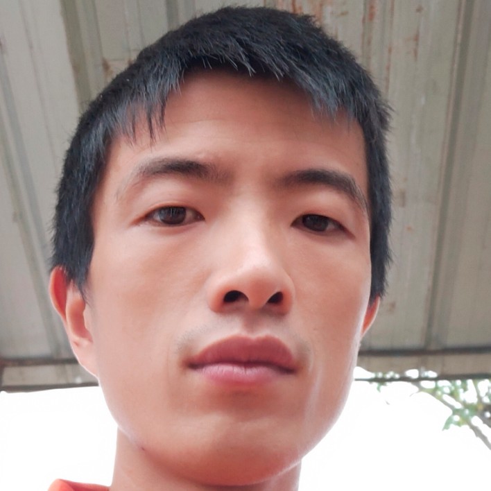 平淡闻黄蜂的照片