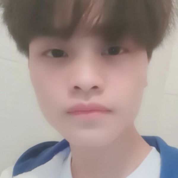 星 猫的照片