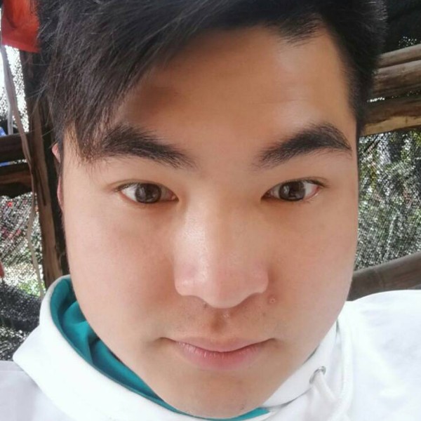 粗心挽手绿茶的照片