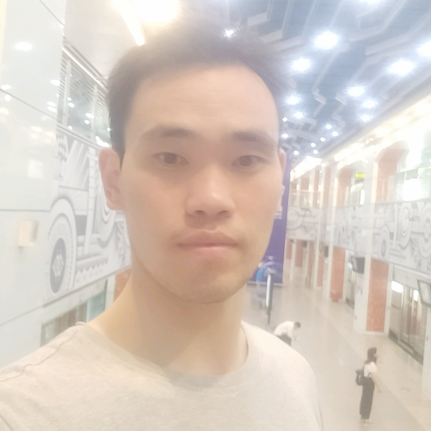 飞鸟务实的照片