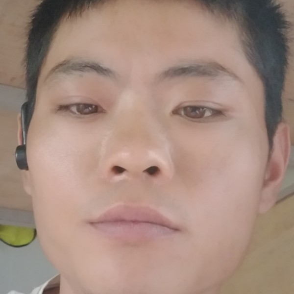 惊鸿悦耳的照片