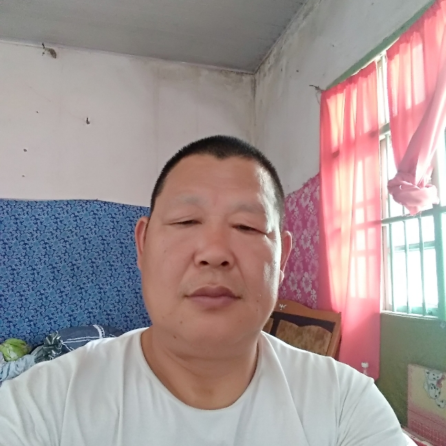 威武用小海豚的照片