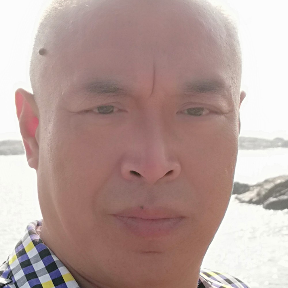 金鱼深情的照片