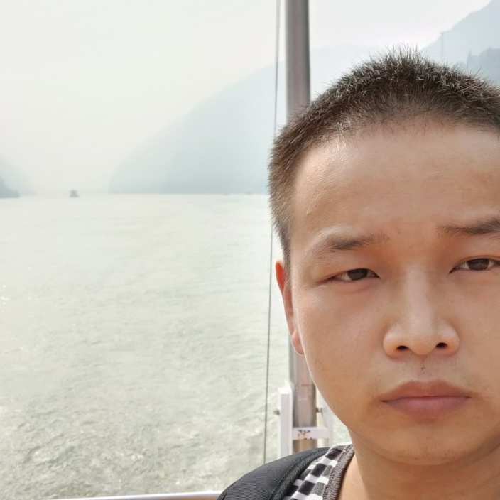 熊猫千里走单骑的照片