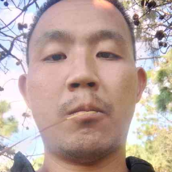 日记本闪闪的照片