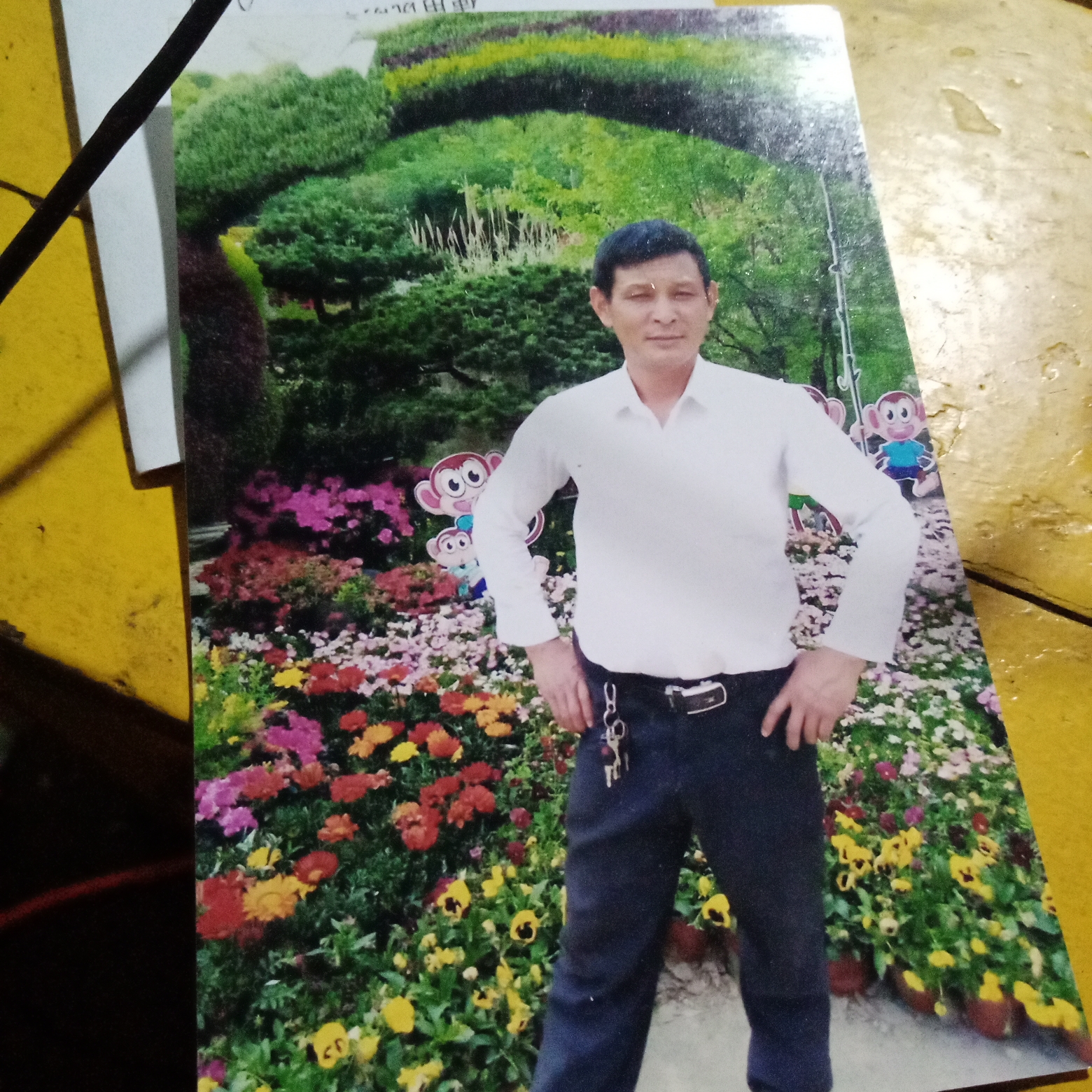 高挑蹁跹月亮的照片