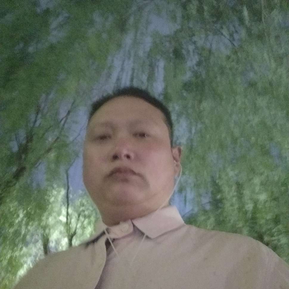 矮小笑嚓茶的照片