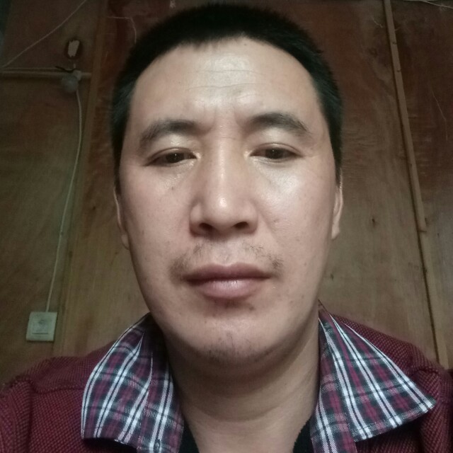 王松云的照片