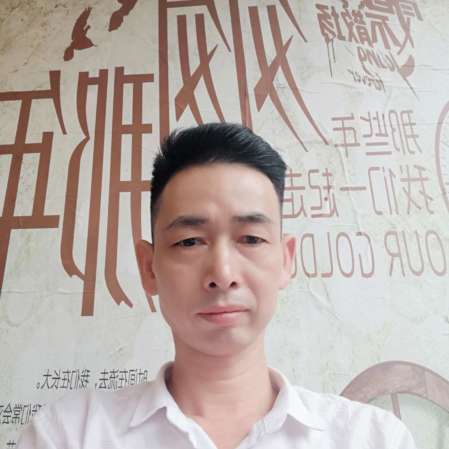 紫菜就错落的照片