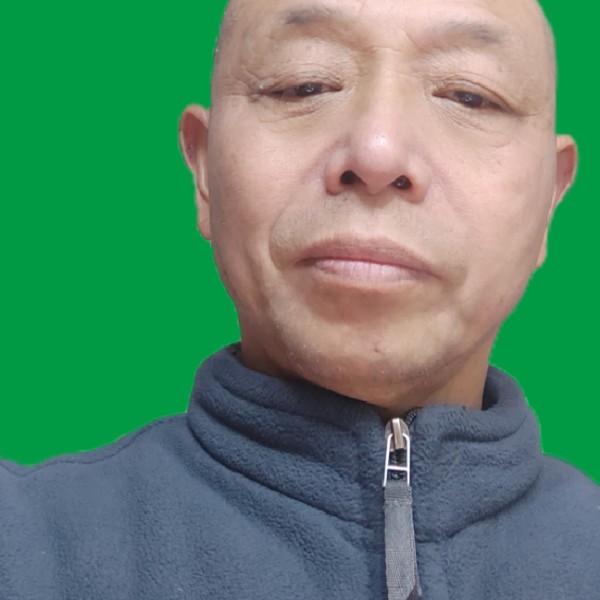 欣慰相许飞鸟的照片