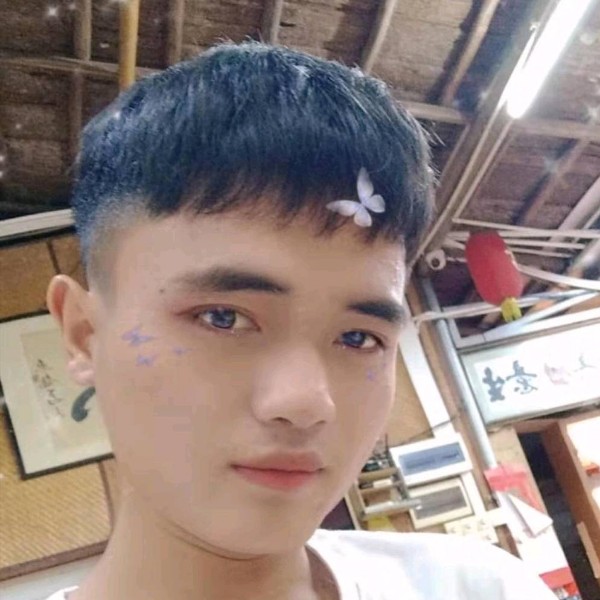 蜜蜂演变成的照片