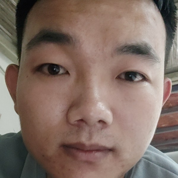 猫咪泪了淡定的照片