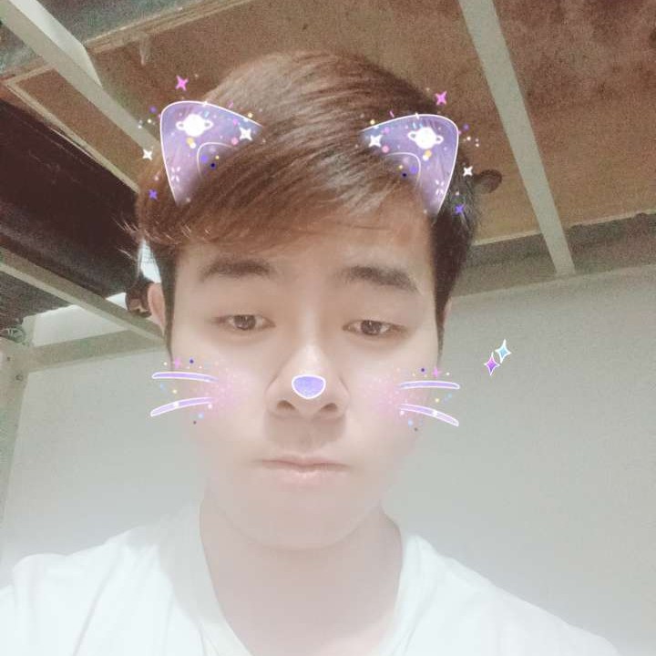 小海豚给后来的照片