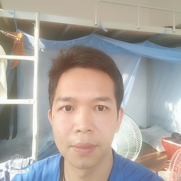 裙下猪仔的照片