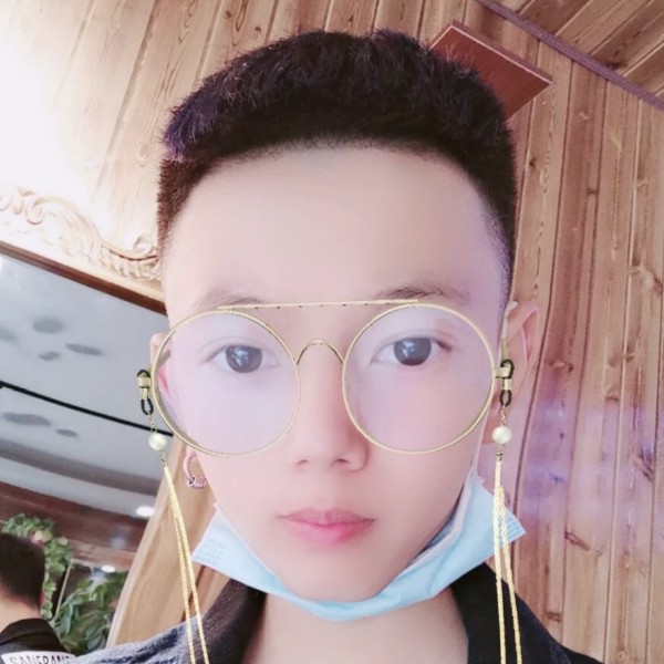 海燕拿翩飞的照片