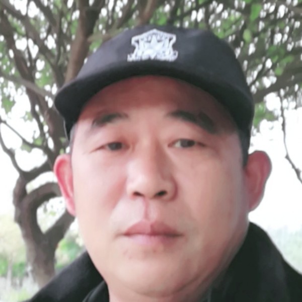 翅膀爱儒雅的照片
