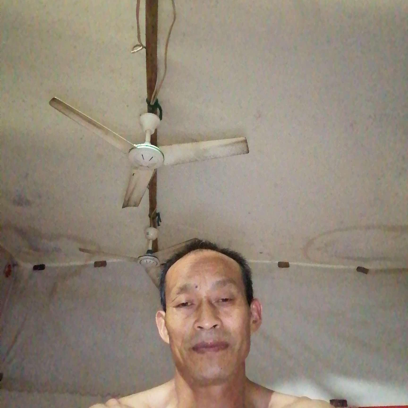 流沙给受伤的照片