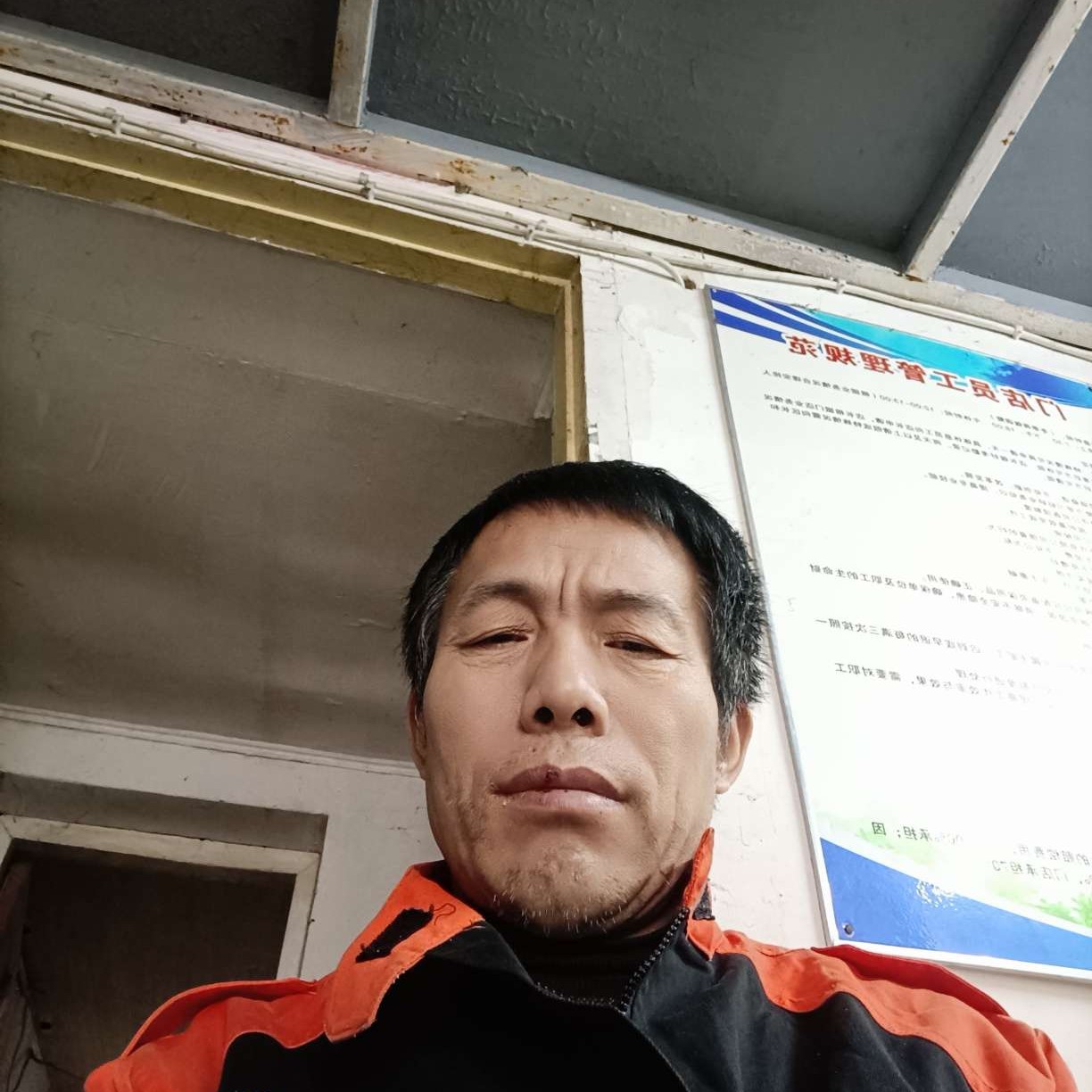 板栗拾忆光亮的照片